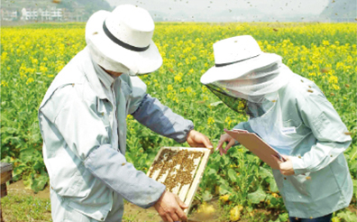 1. Beekeeping