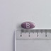 BRAND’S® Blackcurrant Anthocyanins with Lutein 60 Tablets